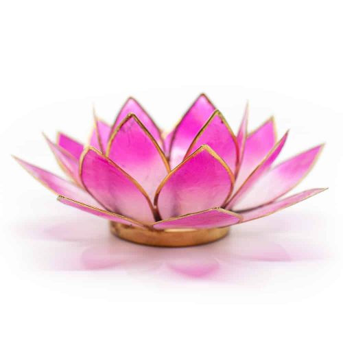 Lotus Sfeerlicht 2-Kleurig Wit / Roze Goudrand