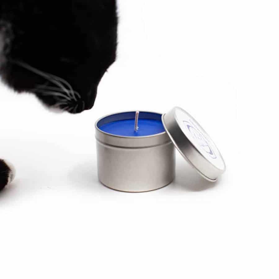 zesde chakra kaars met kat